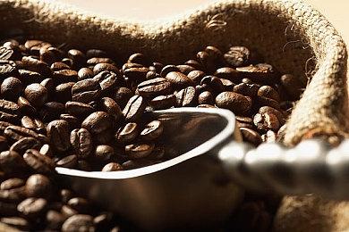 《守望先锋2》：新模式“交锋”、新地图“花丘”细节