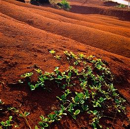 《Apex英雄》手游将于今年夏季正式发售